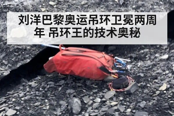 刘洋巴黎奥运吊环卫冕两周年 吊环王的技术奥秘