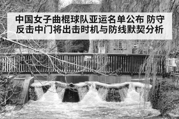 中国女子曲棍球队亚运名单公布 防守反击中门将出击时机与防线默契分析