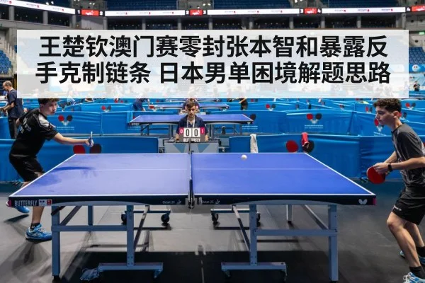 王楚钦澳门赛零封张本智和暴露反手克制链条 日本男单困境解题思路